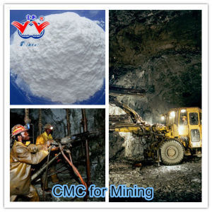 CMC Natriumcarboxymethyl Cellulose zur Verwendung als Reinigungsmittelzusatzstoff